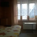泽龙尼比基恩旅馆