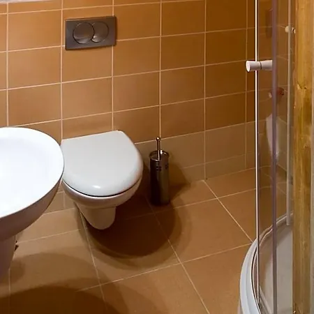 Pod Zielonym Bykiem * Witów