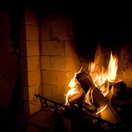 Pod Zielonym Bykiem Witów